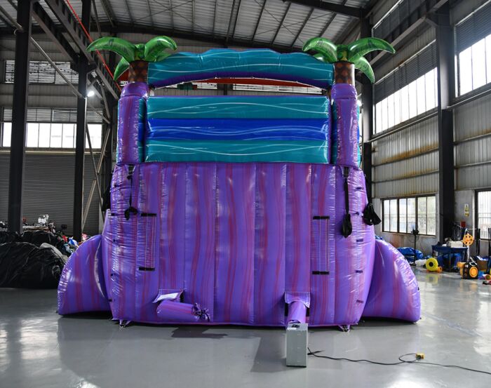 15 purple plunge with new teal marble center climb 2023035058 4 alfredo Burgos » BounceWave Inflatable Sales