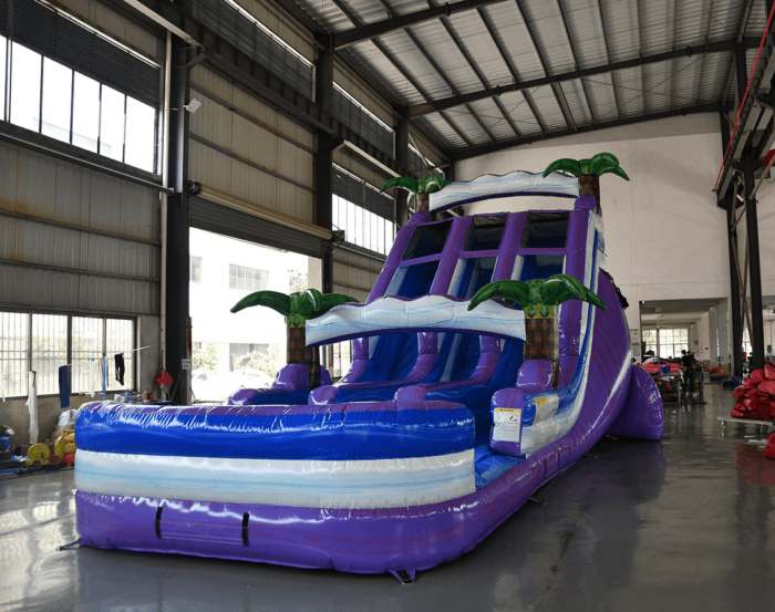 18 Purple Thunder 2 » BounceWave Inflatable Sales