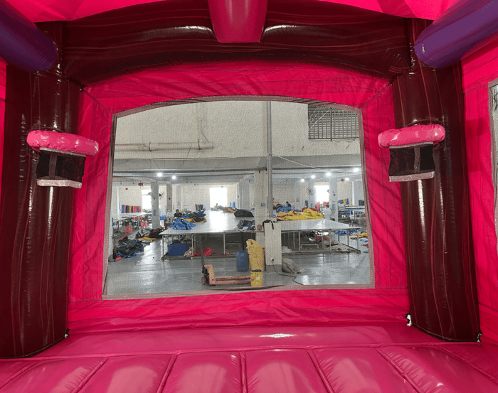 Pink Dino Bounce House For Sale 5